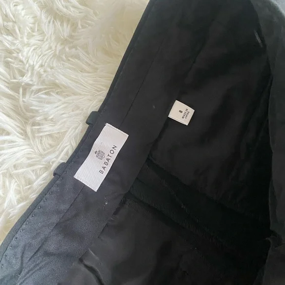 Aritzia Babaton Pleated Pant - Picture 5 of 9